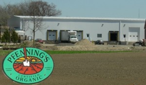 Commercial Company Building - Organic