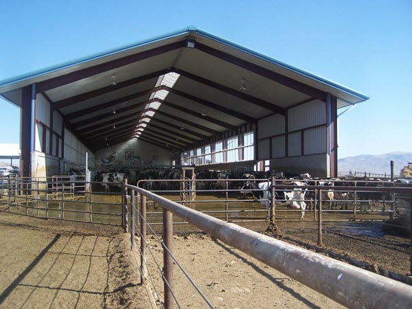 metal building used for dairy farm